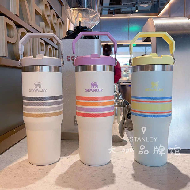 [Apna Bazaar] Stanley Quencher Tumbler 